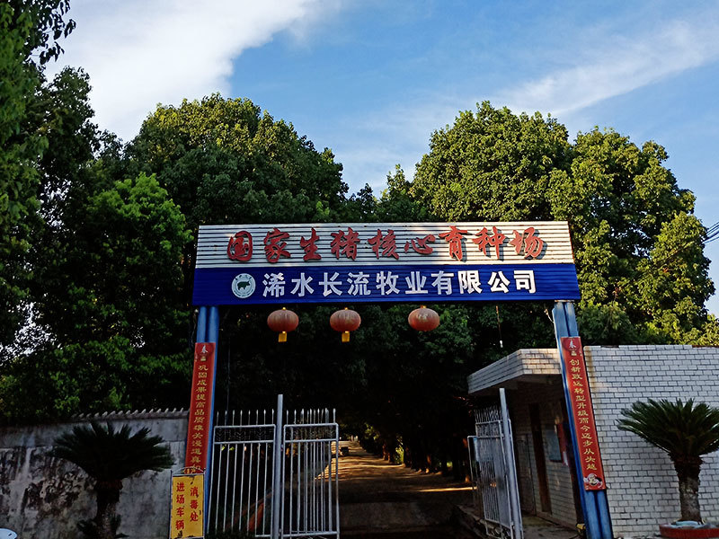 浠水長(cháng)流牧業有(yǒu)限公(gōng)司