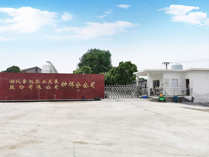 湖(hú)北金旭農業發展股份有(yǒu)限公(gōng)司鍾祥分(fēn)公(gōng)司