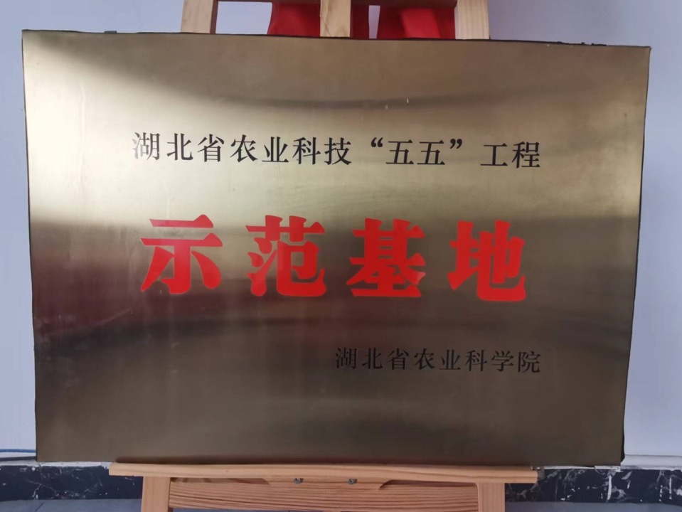 湖(hú)北省農業科(kē)技(jì )“五五”工(gōng)程示範基地