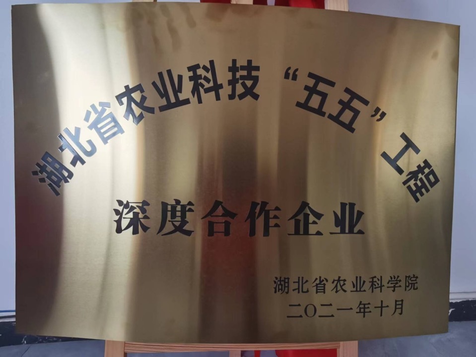湖(hú)北省農業科(kē)技(jì )“五五”工(gōng)程深度合作(zuò)企業