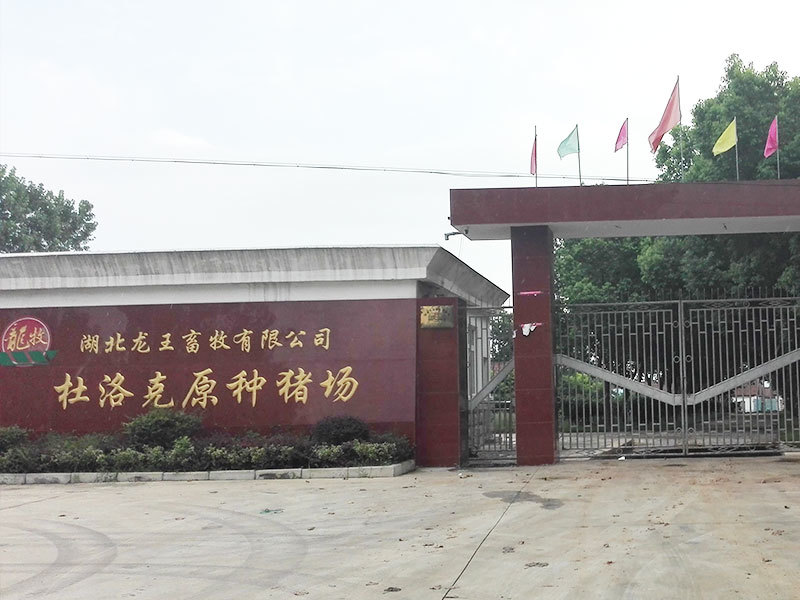 湖(hú)北龍王畜牧有(yǒu)限公(gōng)司